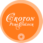 Croton - Pure Colour